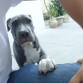 3 meses